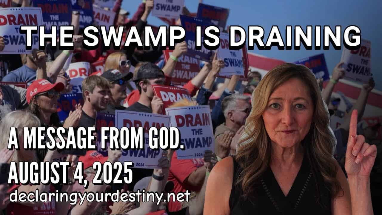 The Swamp Is Draining