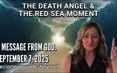 The Death Angel & The Red Sea Moment
