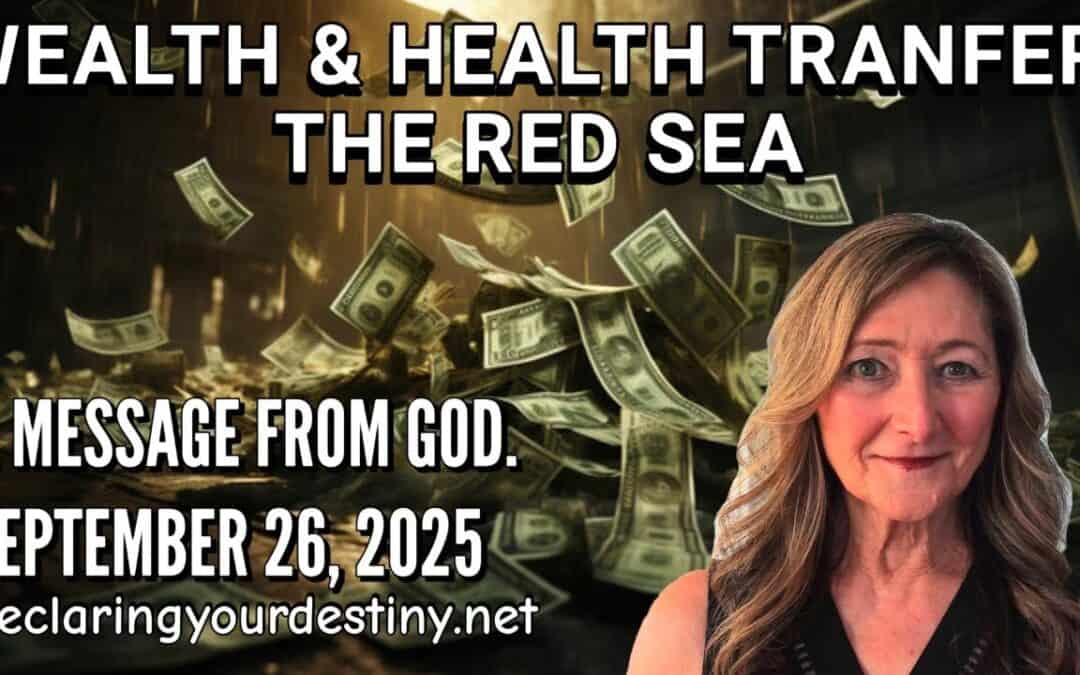 Wealth & Health Transfer, The Red Sea