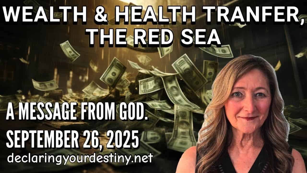 Wealth & Health Transfer, The Red Sea