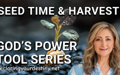 SEED TIME & HARVEST – GOD’S POWER TOOLS SERIES