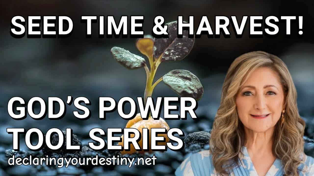 Seedling and woman with text overlay.