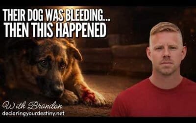 THEIR DOG WAS BLEEDING… THEN THIS HAPPENED – Miracles, signs & wonders with Brandon