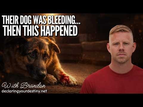 THEIR DOG WAS BLEEDING… THEN THIS HAPPENED – Miracles, signs & wonders with Brandon