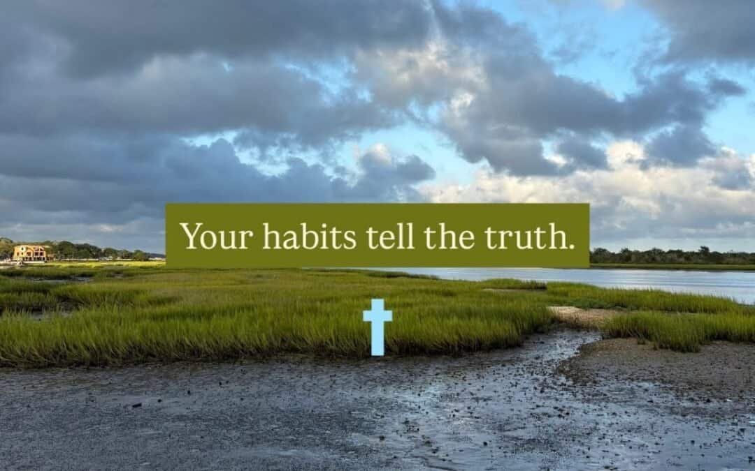 YOUR HABITS TELL THE TRUTH with CECE