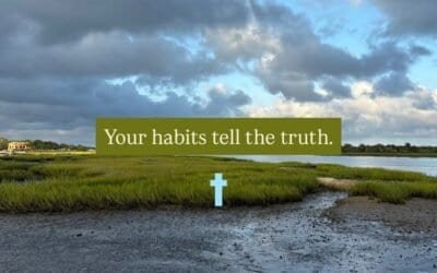YOUR HABITS TELL THE TRUTH with CECE