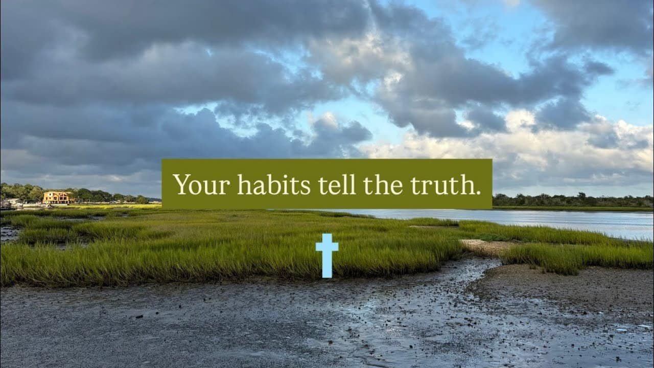 YOUR HABITS TELL THE TRUTH with CECE