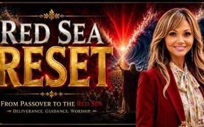 RED SEA RESET (teaching) with Sophia
