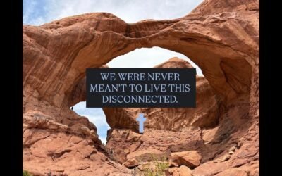 WE WERE NEVER MEANT TO BE THIS DISCONNECTED