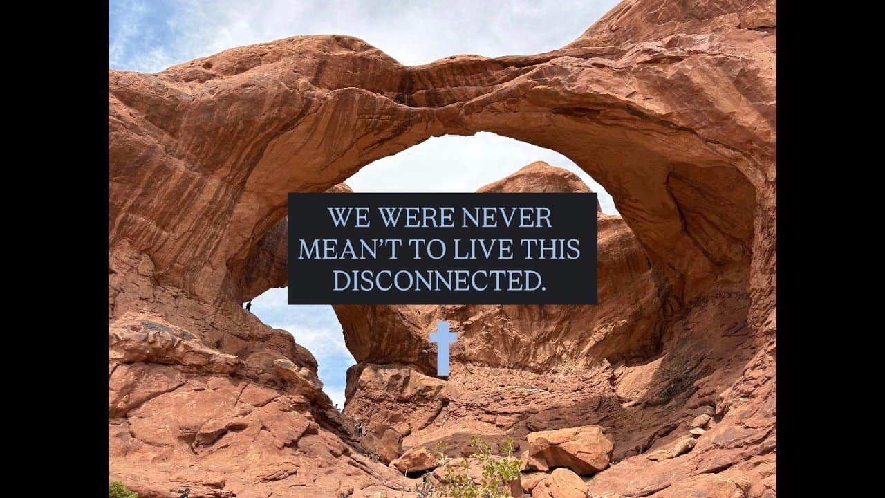 WE WERE NEVER MEANT TO BE THIS DISCONNECTED